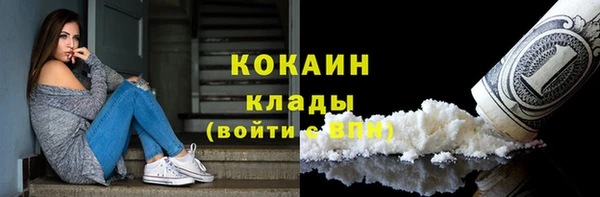 крисы Аркадак