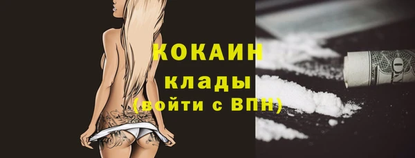 крисы Аркадак
