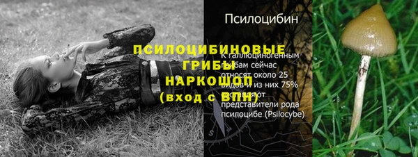 крисы Аркадак