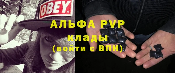 крисы Аркадак