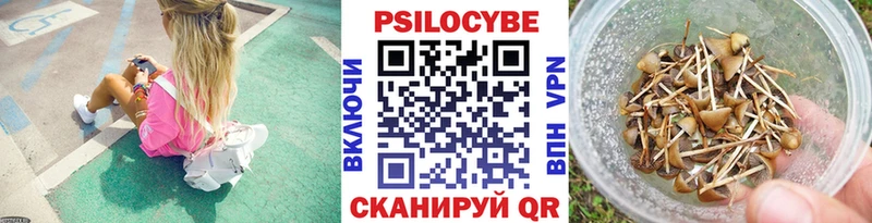 что такое наркотик  Снежинск  Галлюциногенные грибы Cubensis 